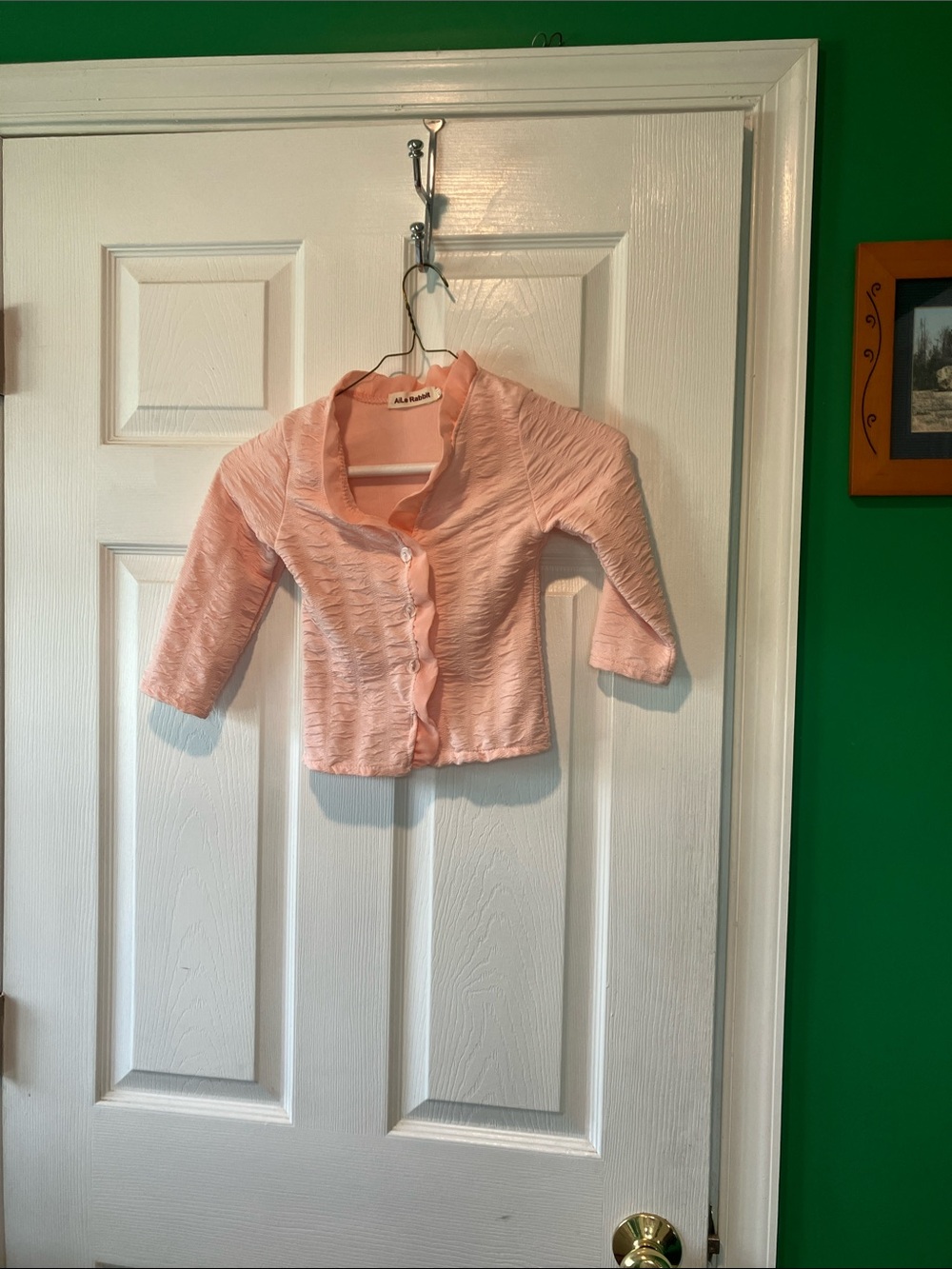 Pink girls button front dress jacket sheer trim 110 4T